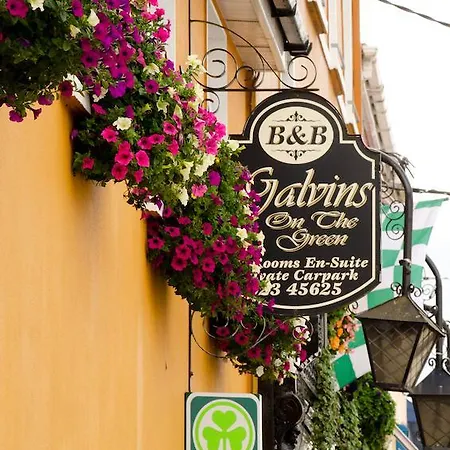 Bed & Breakfast Galvins On The Green Dunmanway